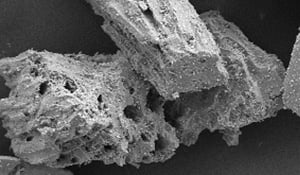 micrograph of pumice powder at x50