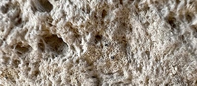 pumice surface texture closeup